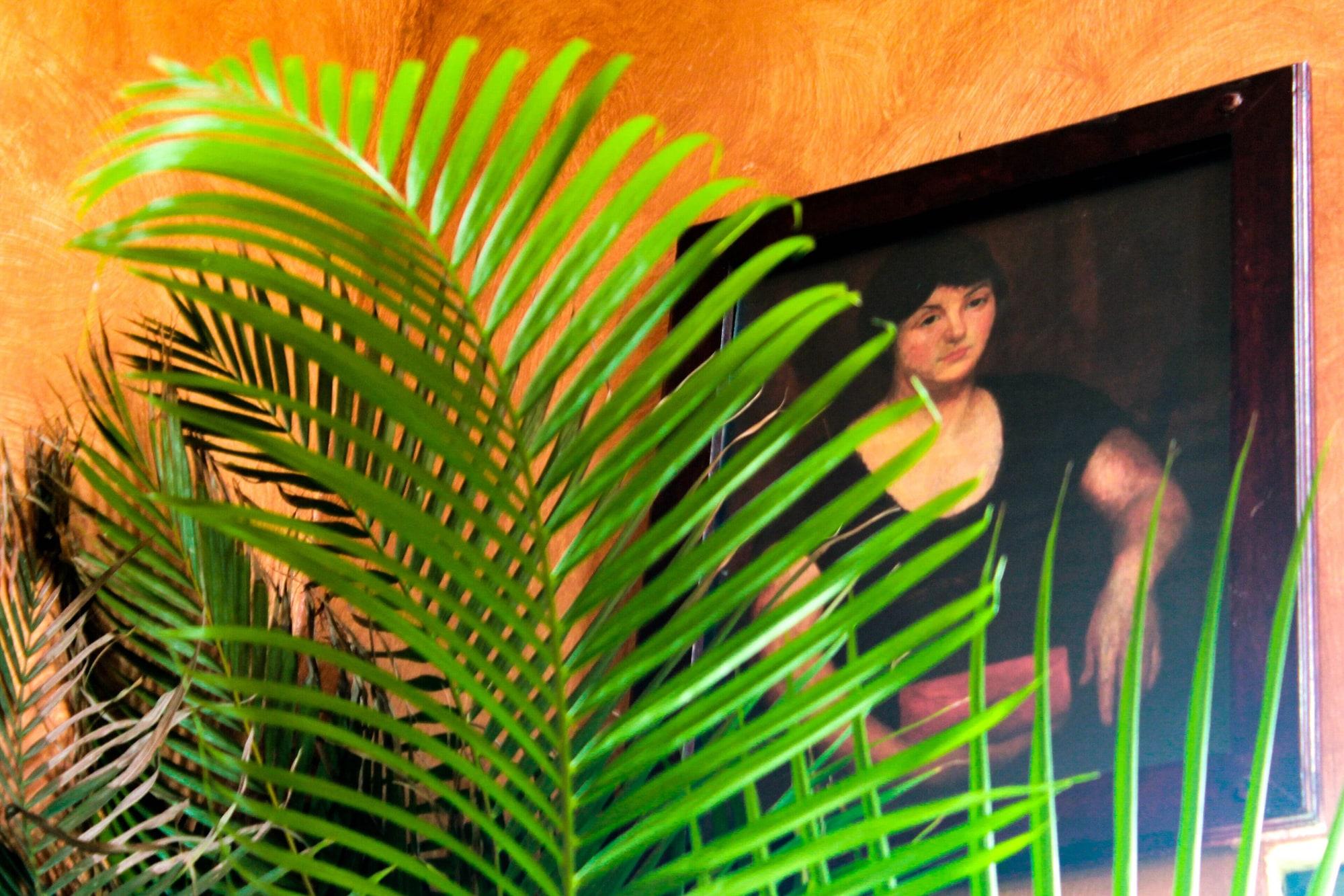 Villas Y Suites Paraiso Del Sur Cuernavaca Luaran gambar